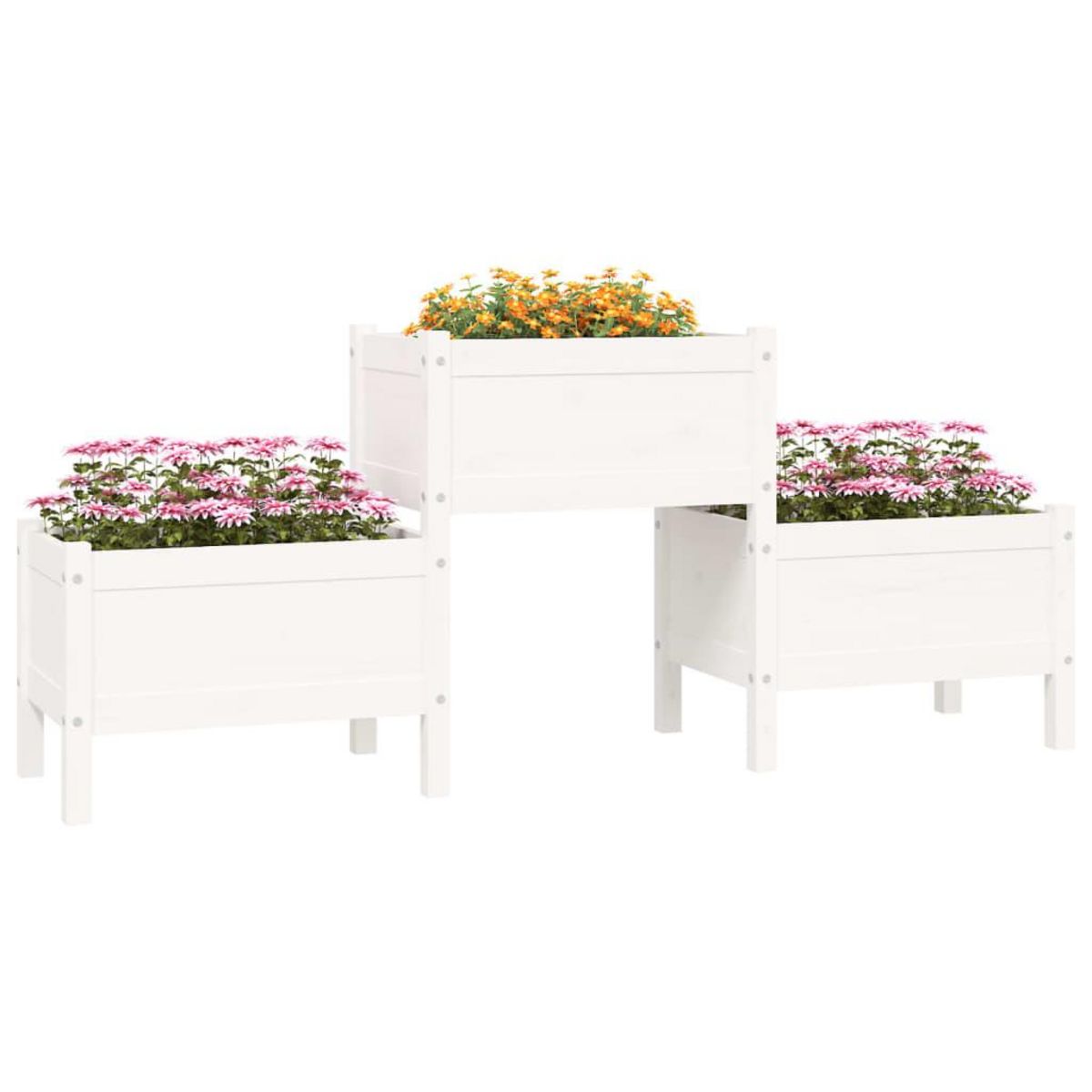 VIDAXL Jardiniere Blanc 178,5x44x75 cm Bois massif de pin