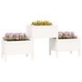 Voir la diapositive 3 : VIDAXL Jardiniere Blanc 178,5x44x75 cm Bois massif de pin