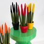 Voir la diapositive 4 : PLANT IN A BOX Langue de belle-mère - Set de 3 - Sansevieria cylindrica - H20-40cm - ⌀9cm