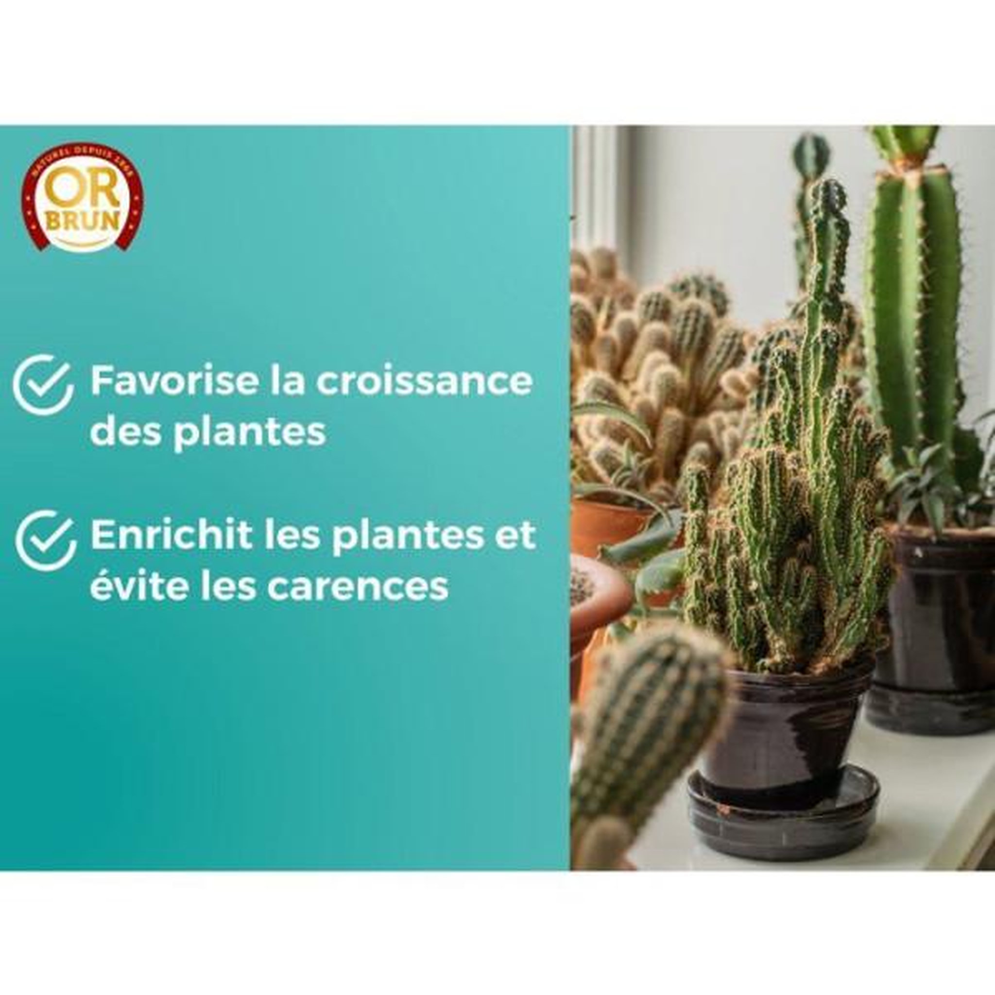 Voir la diapositive 6 : OR BRUN Engrais cactus & plantes grasses - or brun - obreclcactus250 - 250 ml - enrichit les plantes - fabriqué en france