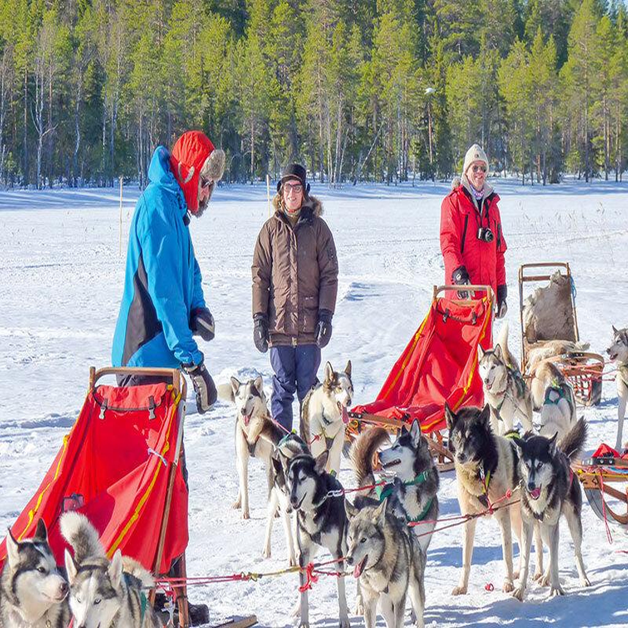 Voir la diapositive 5 : Smartbox 3 jours en suède : observation des aurores boréales et balade en chiens de traîneau pour 2 personnes - coffret cadeau séjour