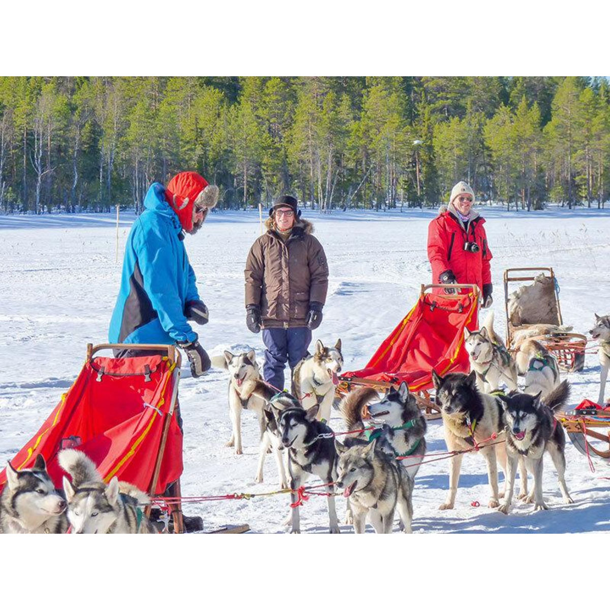 Smartbox 3 jours en Suède : observation des aurores boréales et balade en chiens de traîneau pour 2 personnes - Coffret Cadeau Séjour