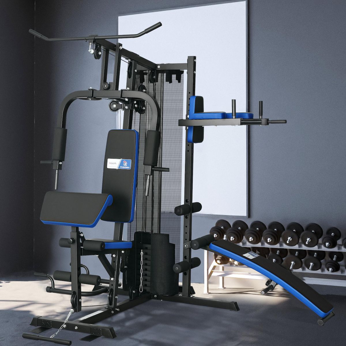 HOMCOM Station de musculation multi-équipement - collaboration Aosom.fr x FFHandball - 10 contrepoids - acier noir rouge