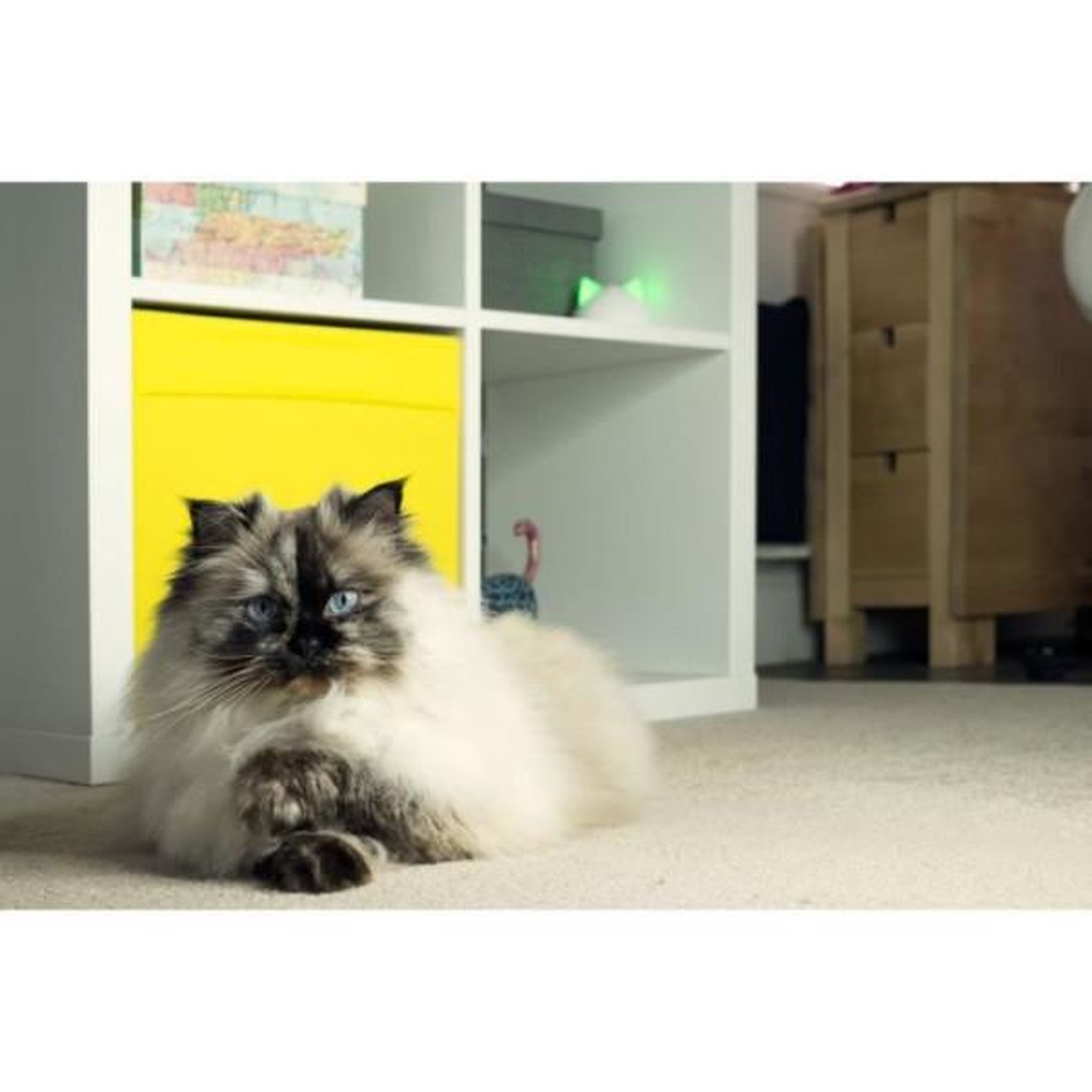Voir la diapositive 6 : N/A Sure petcare hub - blanc - compatible avec les produits connect sure petcare (mémorisation d'un maximum de 10 produits connect)