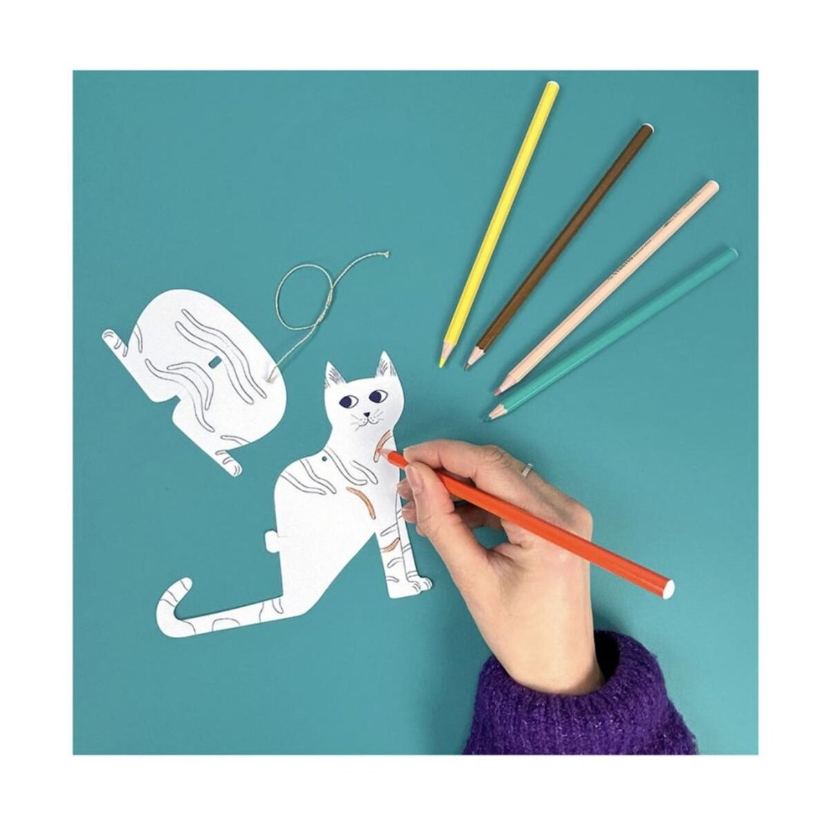 PIROUETTE CACAHOUETE Kit creatif Chats a colorier