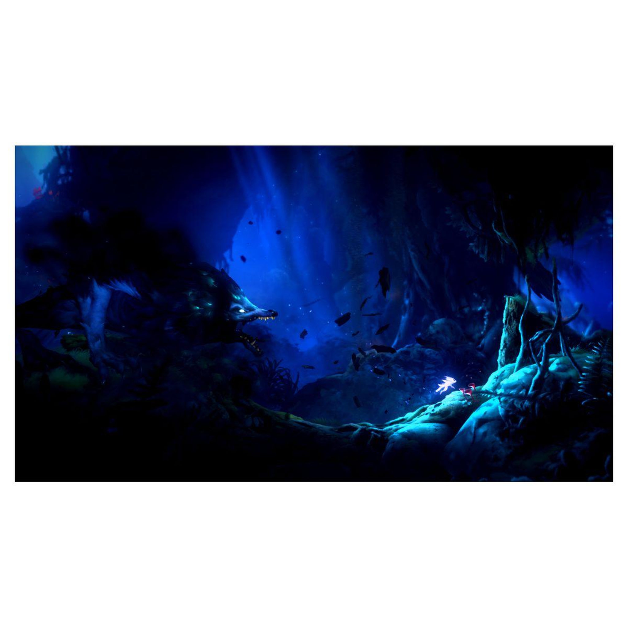 Voir la diapositive 4 : JUST FOR GAMES Ori and The Will of The Wisps Nintendo Switch