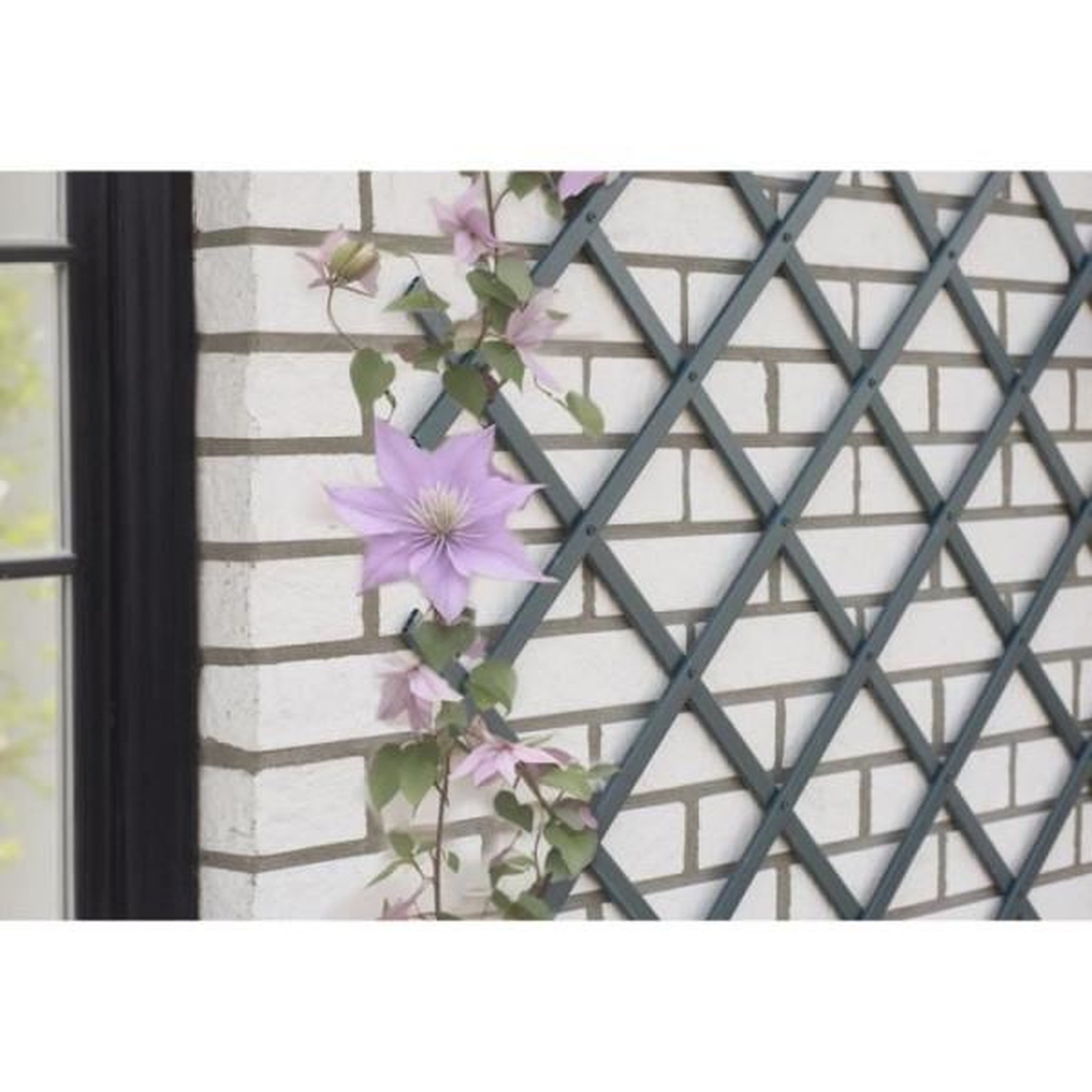 NATURE Treillis extensible - NATURE - En plastique Anthracite - 100 x 200 cm
