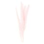 RICO DESIGN 2 bouquets d'herbes de Palma séchées rose - 70 cm