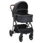 Voir la diapositive 1 : VIDAXL Poussette pour bebe 2-en-1 Anthracite et noir Acier