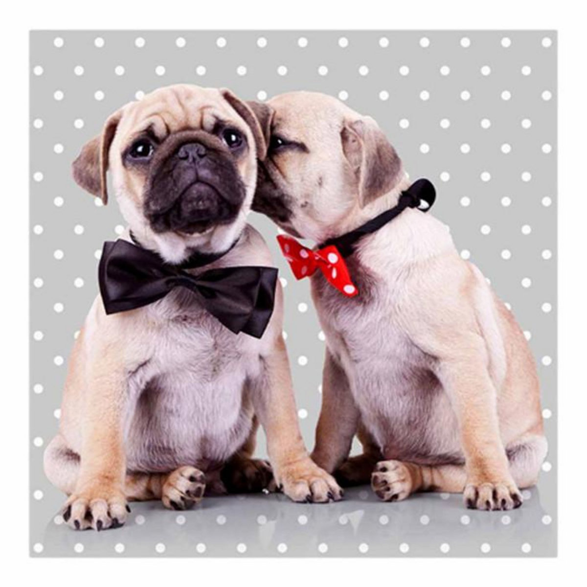 Paris Prix Lot de 20 Serviettes en Papier  Dog Chic  33x33cm Gris