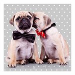 Paris Prix Lot de 20 Serviettes en Papier  Dog Chic  33x33cm Gris