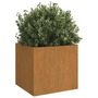 Voir la diapositive 3 : VIDAXL Jardinieres 2 pcs 42x40x39 cm acier corten