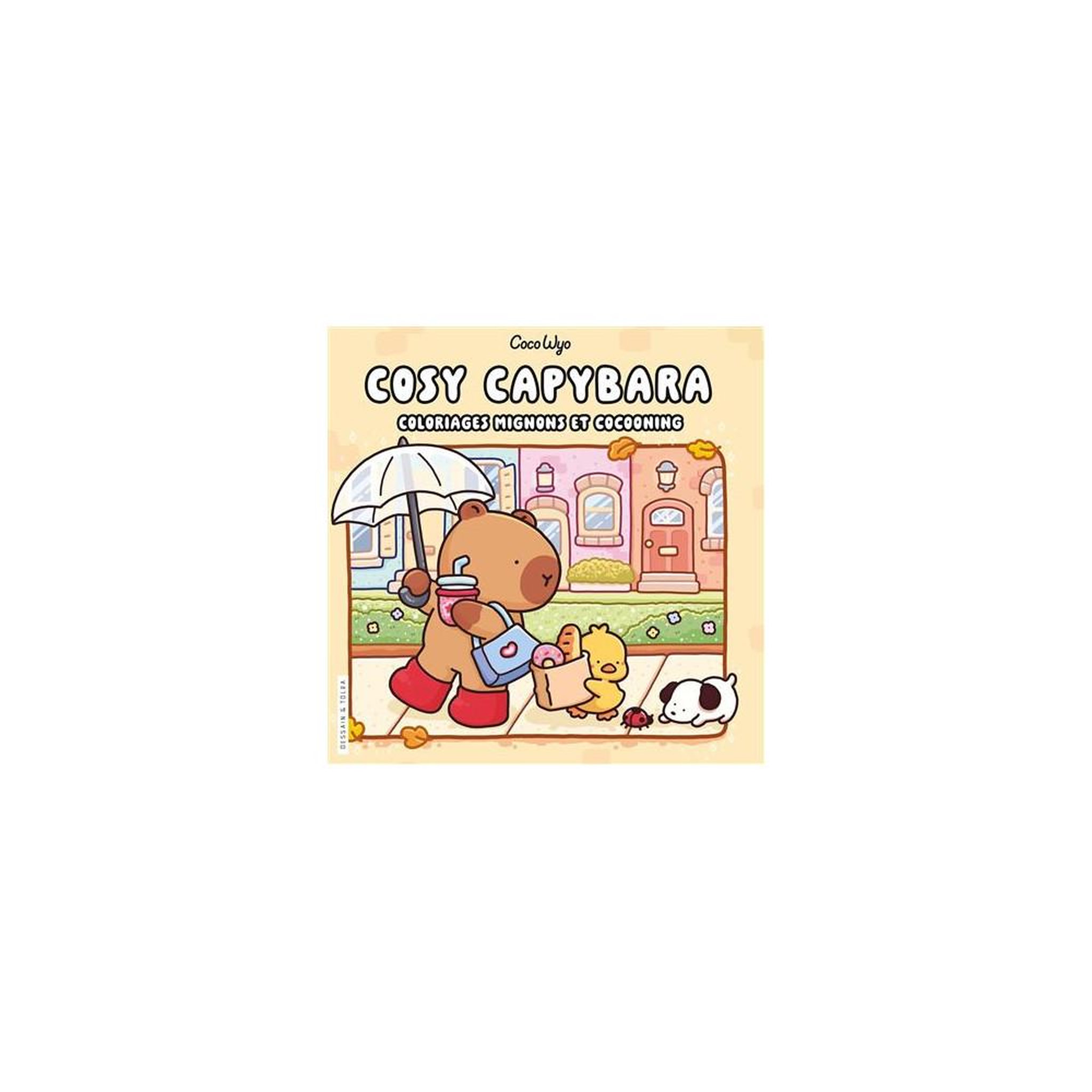 DESSAIN ET TOLRA Livre de coloriage cd?