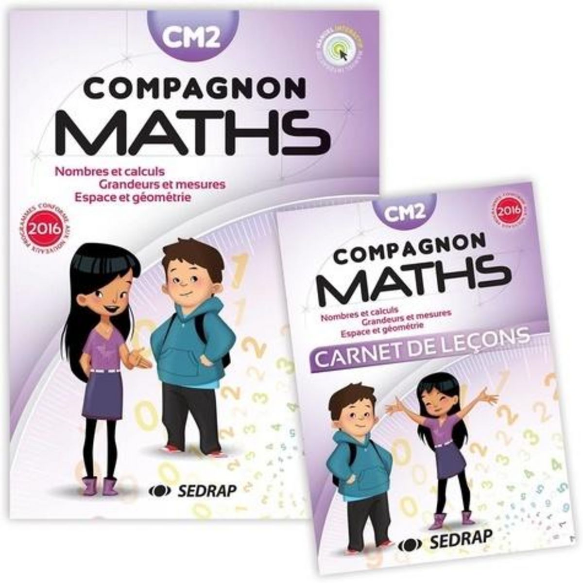 MATHEMATIQUES CM2 COMPAGNON MATHS. NOMBRES ET CALCULS, GRANDEURS ET MESURES, ESPACE ET GEOMETRIE. AVEC UN CARNET DE LECONS, EDITION 2016, Boëche Sandra