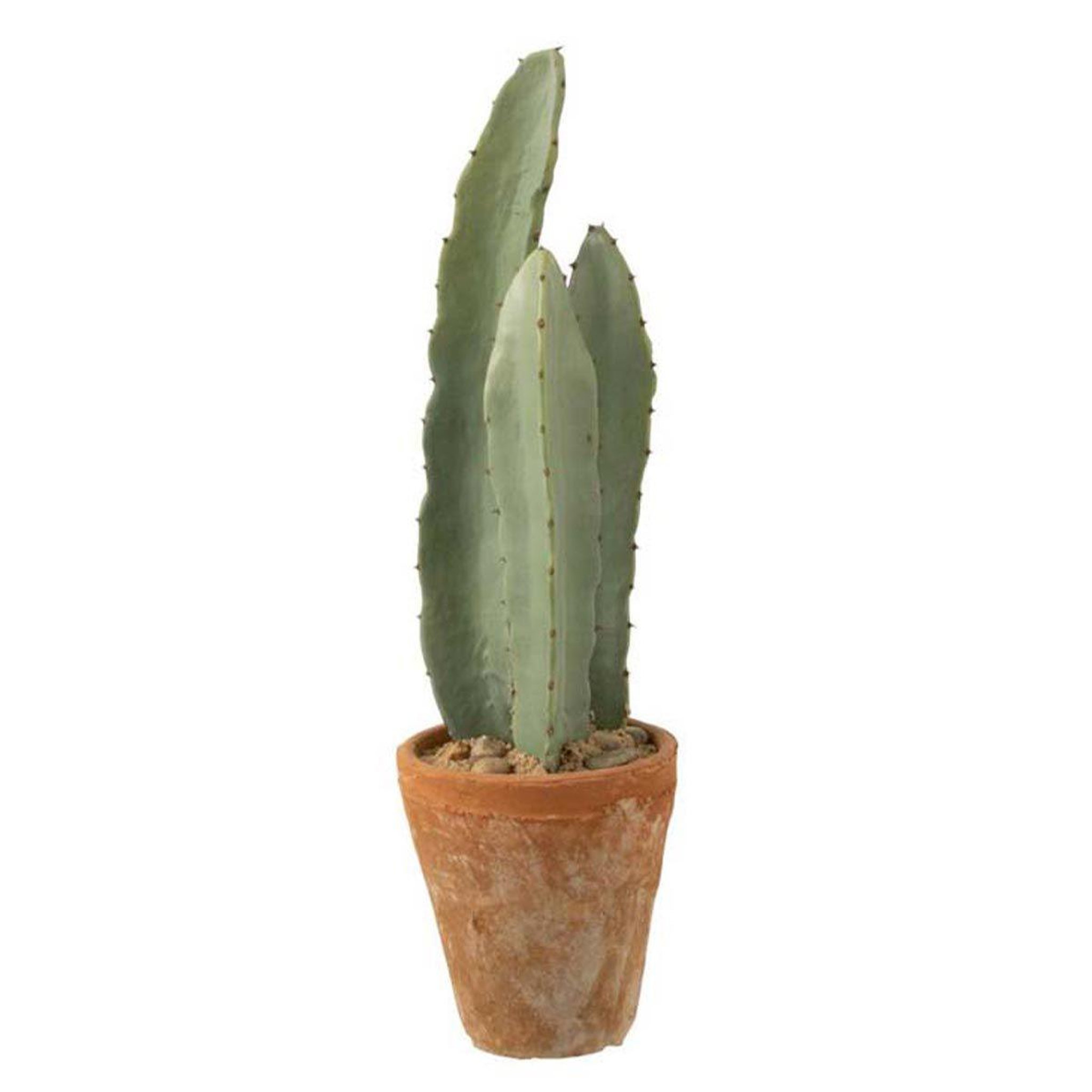 J-LINE Plante artificielle en pot  cactus  48cm vert
