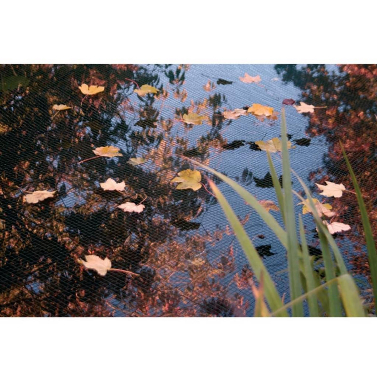 Ubbink Ubbink Filet de couverture de bassin PE 4x6 m