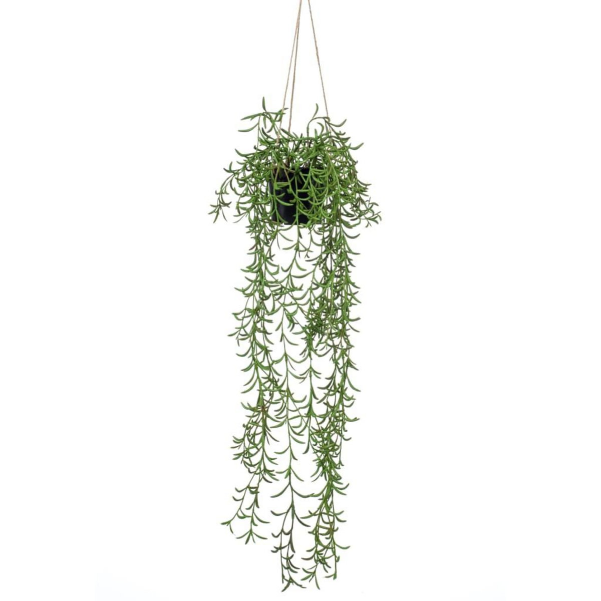 EMERALD Emerald Buisson suspendu senecio artificiel en pot 70 cm
