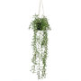 Voir la diapositive 2 : EMERALD Emerald Buisson suspendu senecio artificiel en pot 70 cm