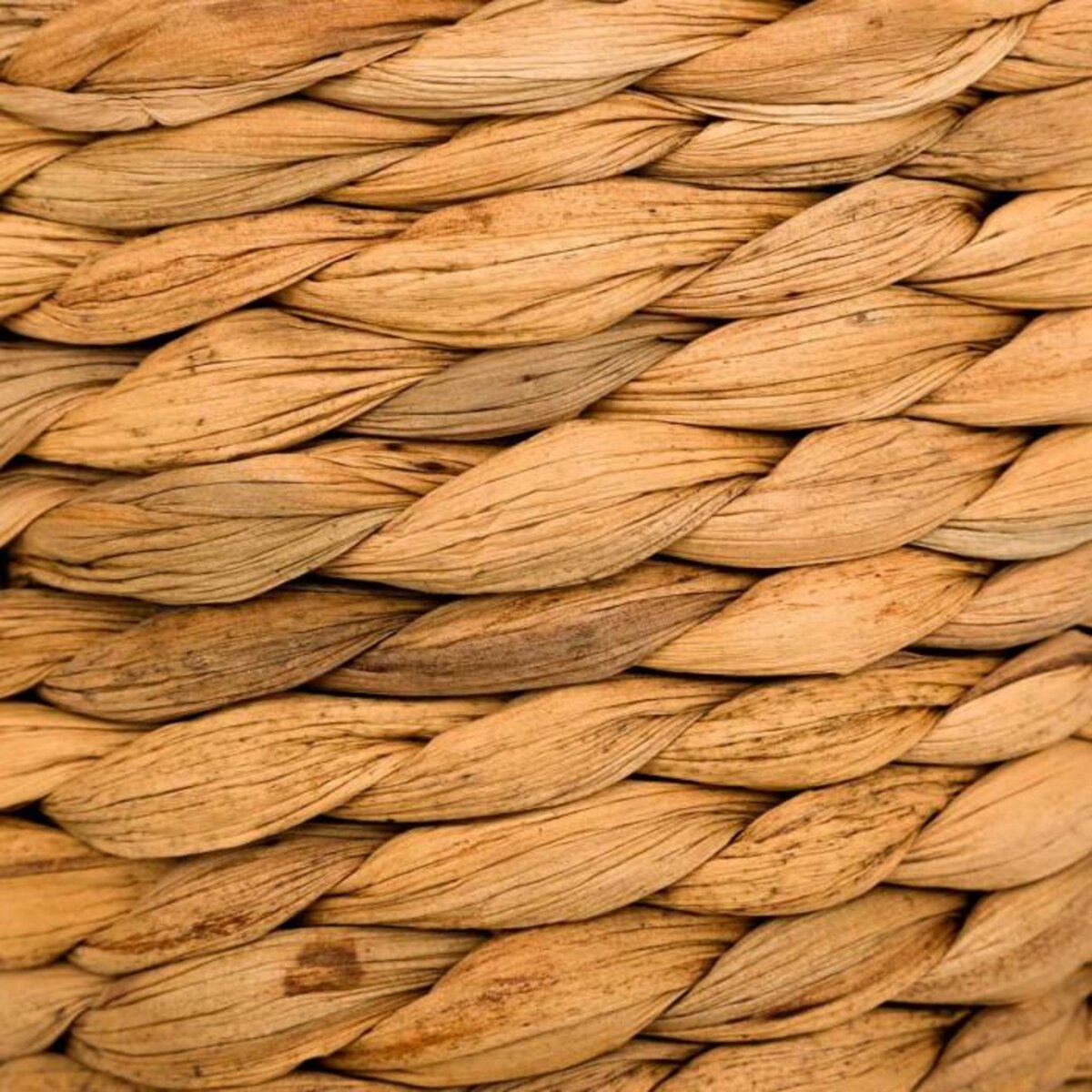 ATMOSPHERA Vase Déco en Jacinthe  Percy  57cm Naturel