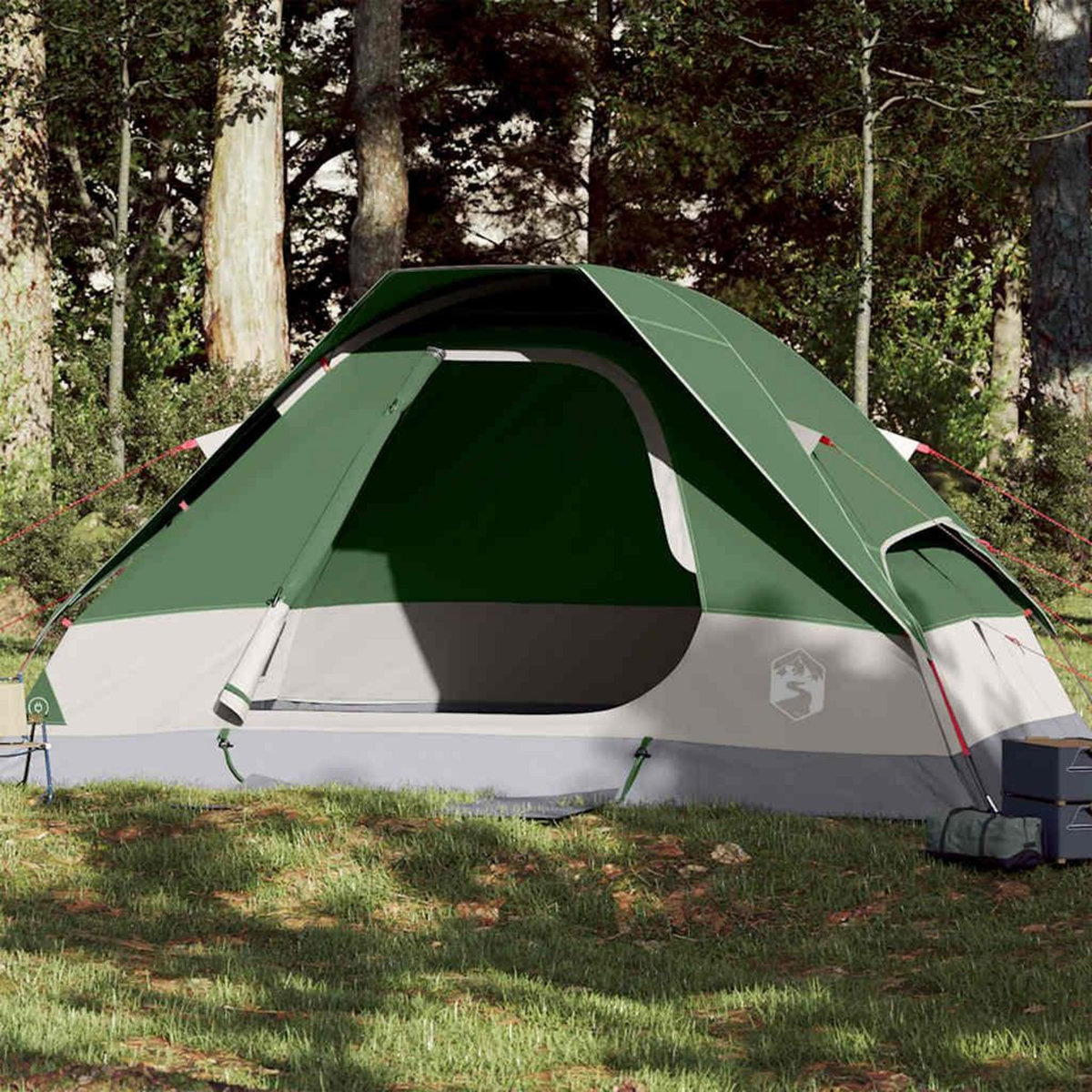 VIDAXL Tente de camping a dome 2 personne vert impermeable
