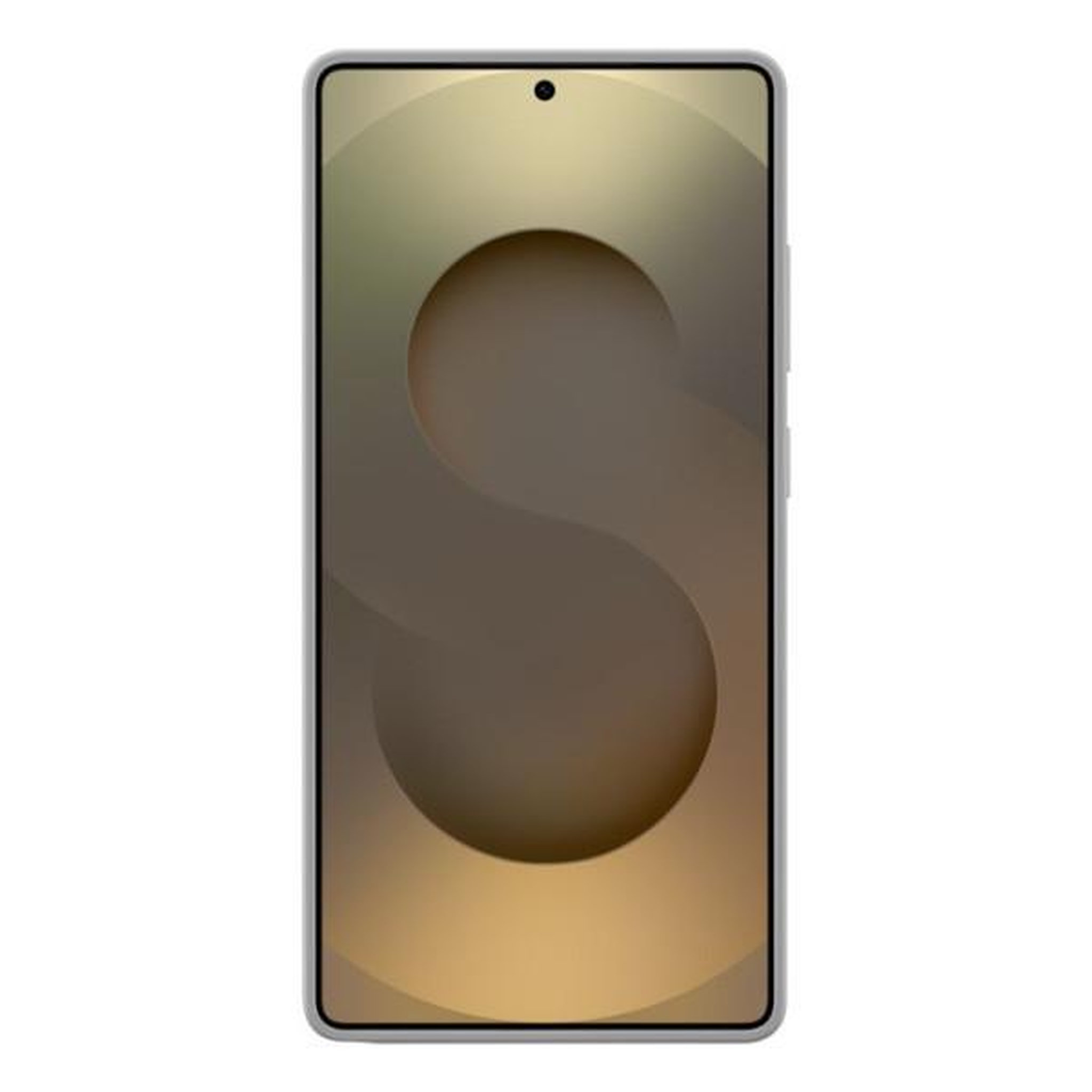Voir la diapositive 3 : Samsung Coque silicone Galaxy S25 Ultra Gris