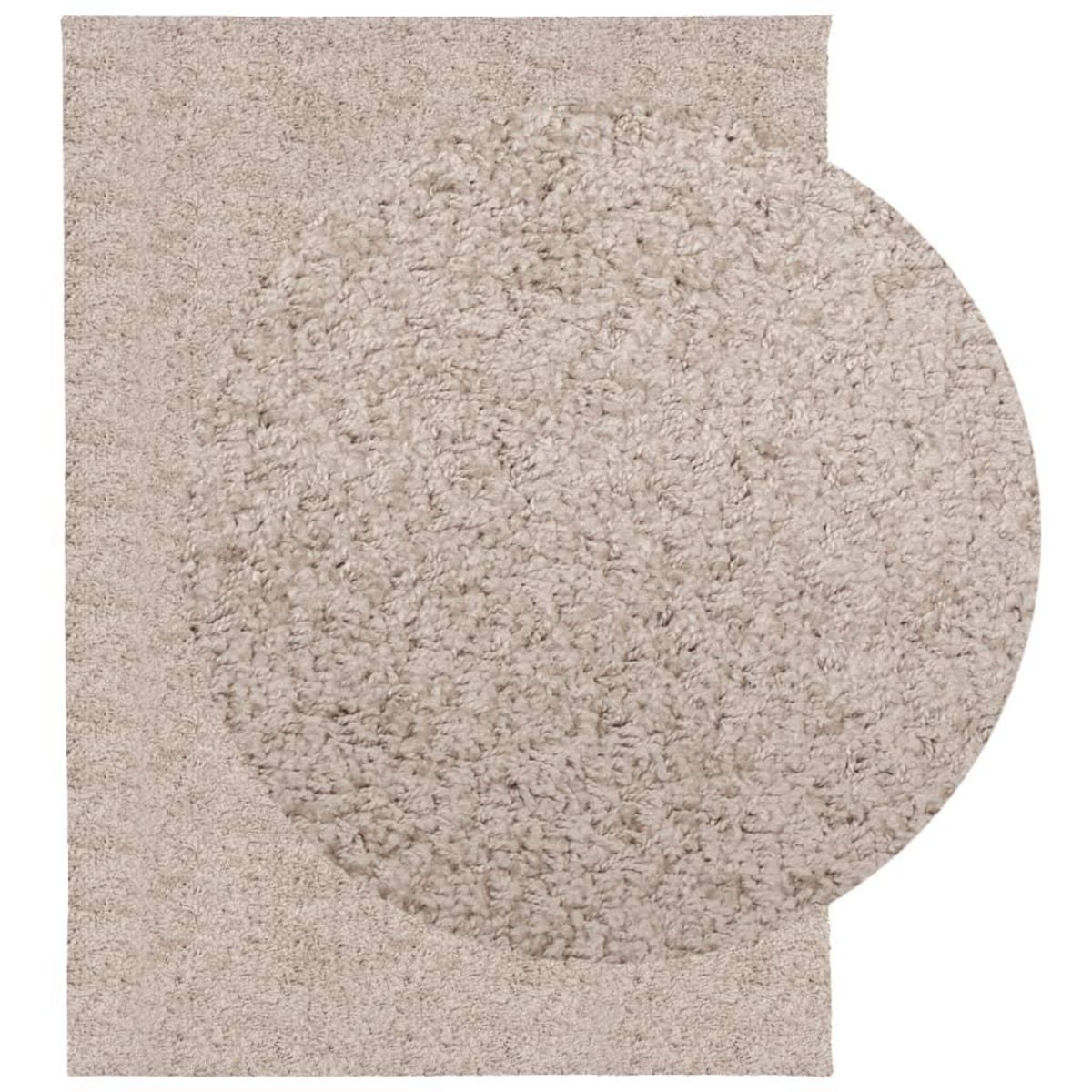 VIDAXL Tapis shaggy PAMPLONA poils longs moderne beige 140x200 cm