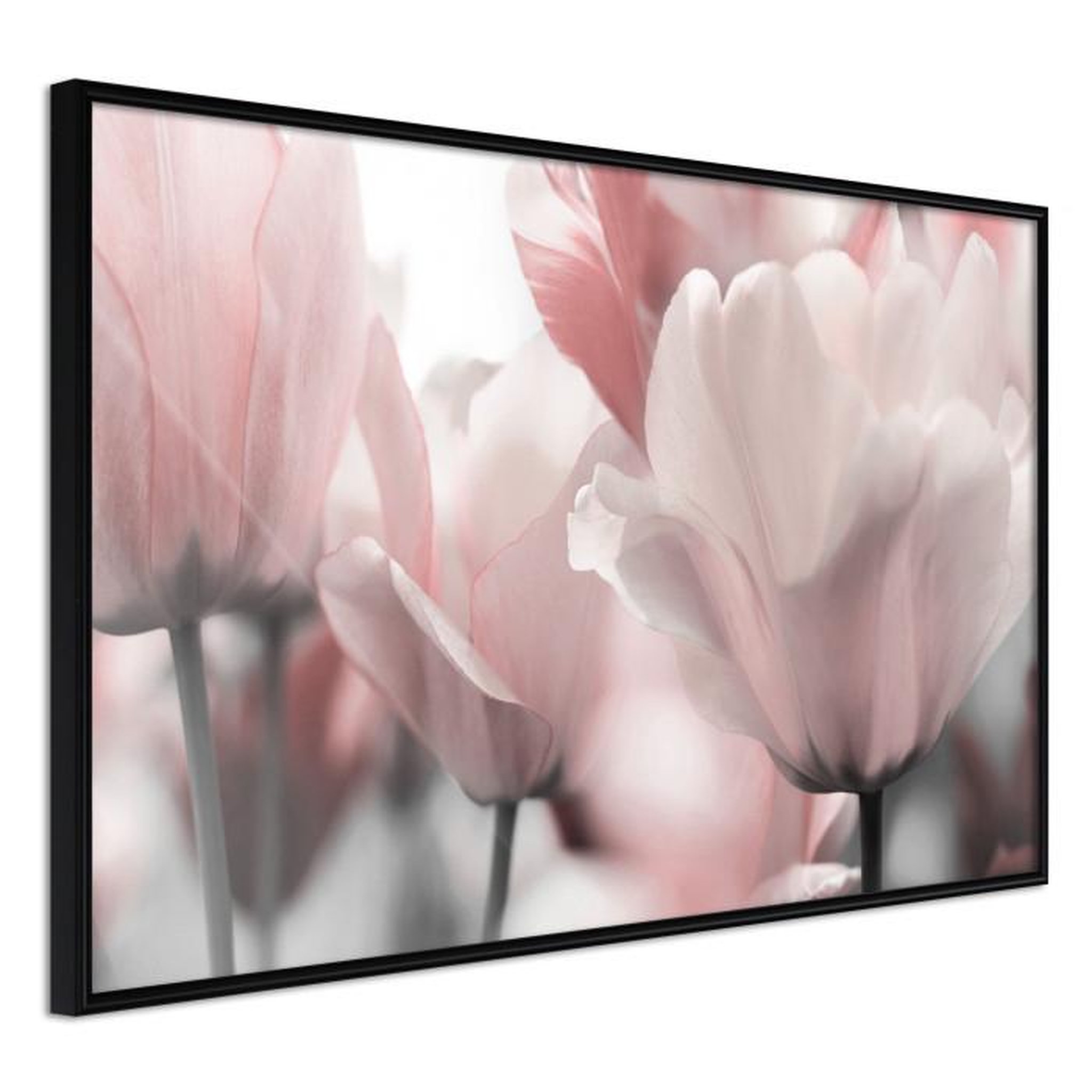 Paris Prix Affiche Murale Encadrée  Pastel Tulips II. Coloris disponibles : Jaune, Noir