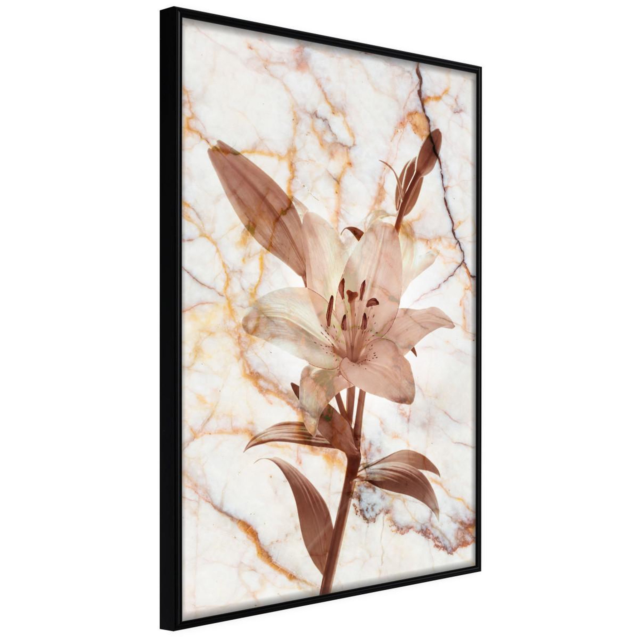 Paris Prix Affiche murale encadrée  lily on marble background