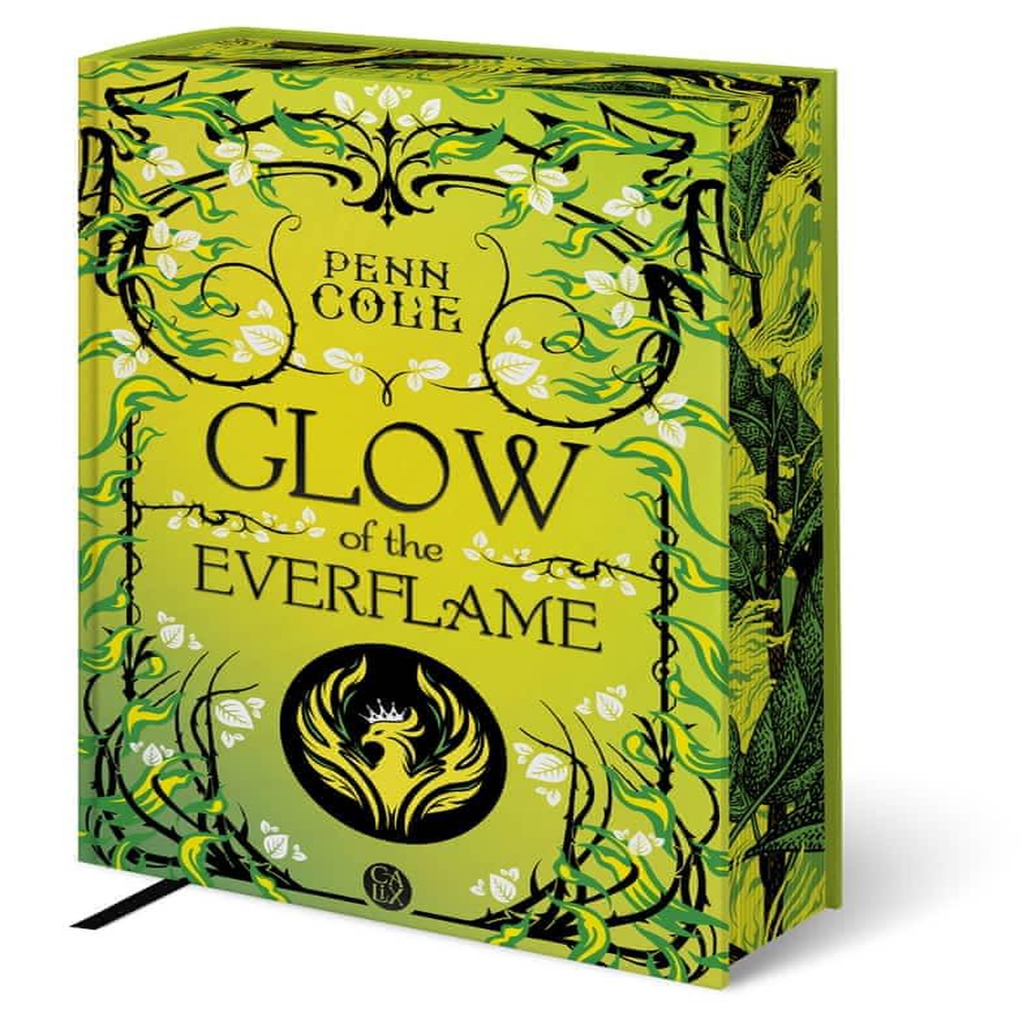 KINDRED'S CURSE TOME 2 : GLOW OF THE EVERFLAME, Cole Penn