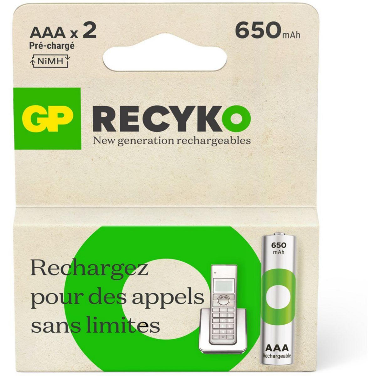 GP BATTERIES Pile rechargeable AAA ReCyckO 650 mAh lot de 2