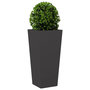 Voir la diapositive 3 : VIDAXL Jardiniere noir 35x35x75 cm acier