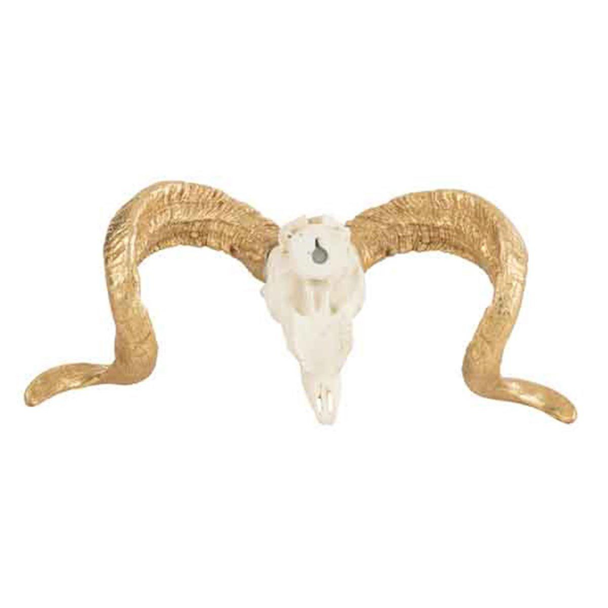 Voir la diapositive 2 : J-LINE Statuette Déco  Crâne Mouton  32cm Blanc & Or