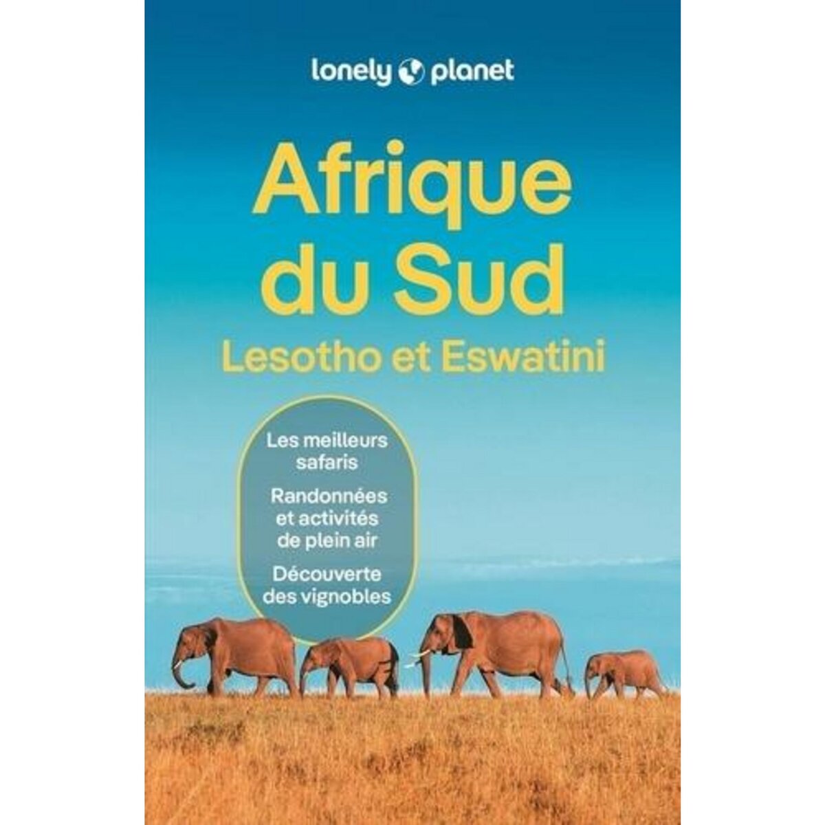 AFRIQUE DU SUD. LESOTHO ET ESWATINI, 12 EDITION, AVEC 1 PLAN DETACHABLE, Corne Lucy