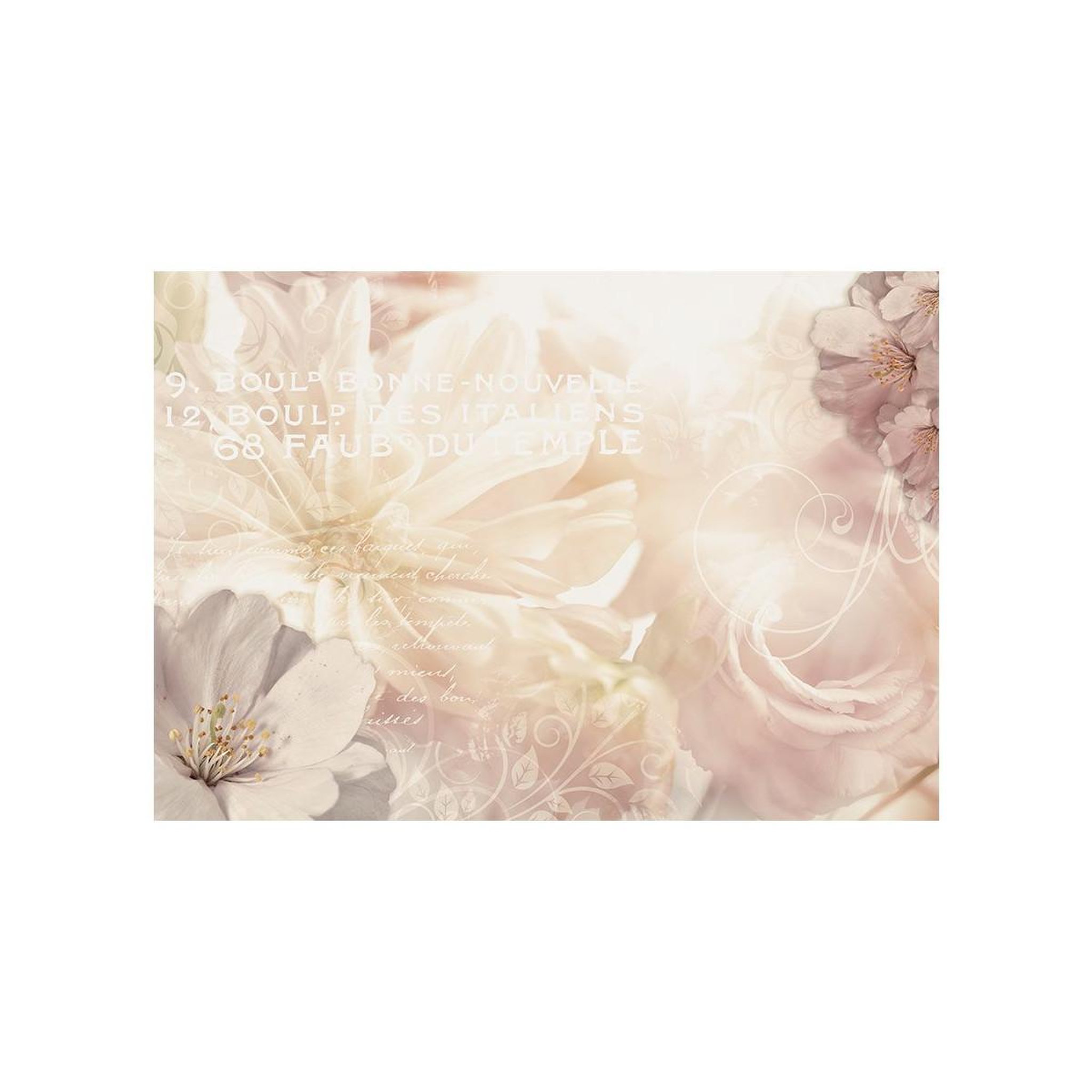 Voir la diapositive 2 : Paris Prix Papier Peint  Kiss of Gentleness
