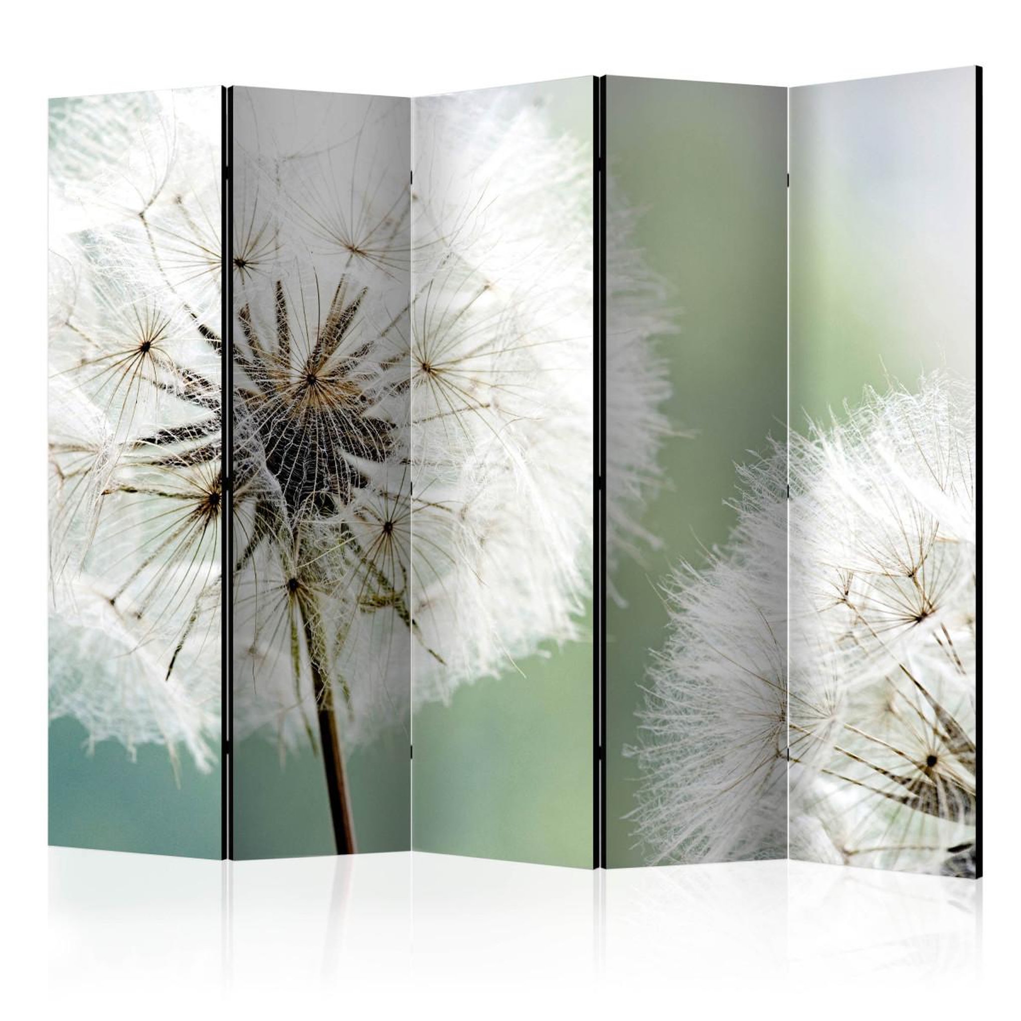 Paris Prix Paravent 5 volets  two dandelions  172x225cm