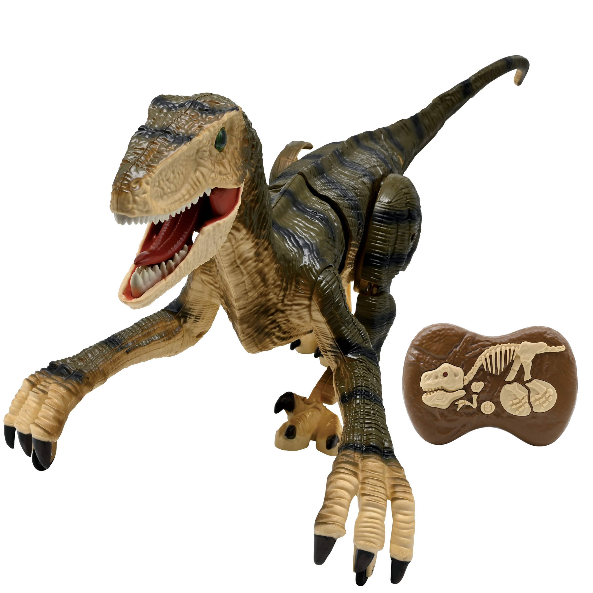 Lexibook Dinosaure Velociraptor  télécommandé