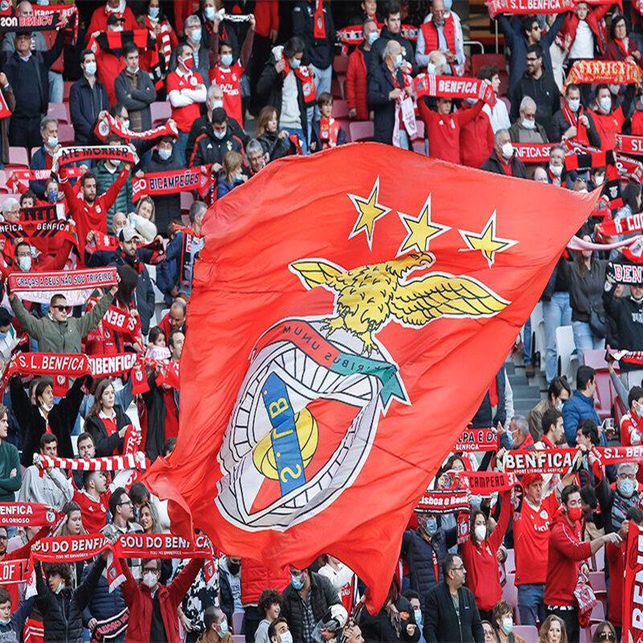 Voir la diapositive 3 : Smartbox Visite du stade de Luz, musée Sport Lisboa e Benfica, écharpe et dîner au Red Snack pour 2 - Coffret Cadeau Sport & Aventure