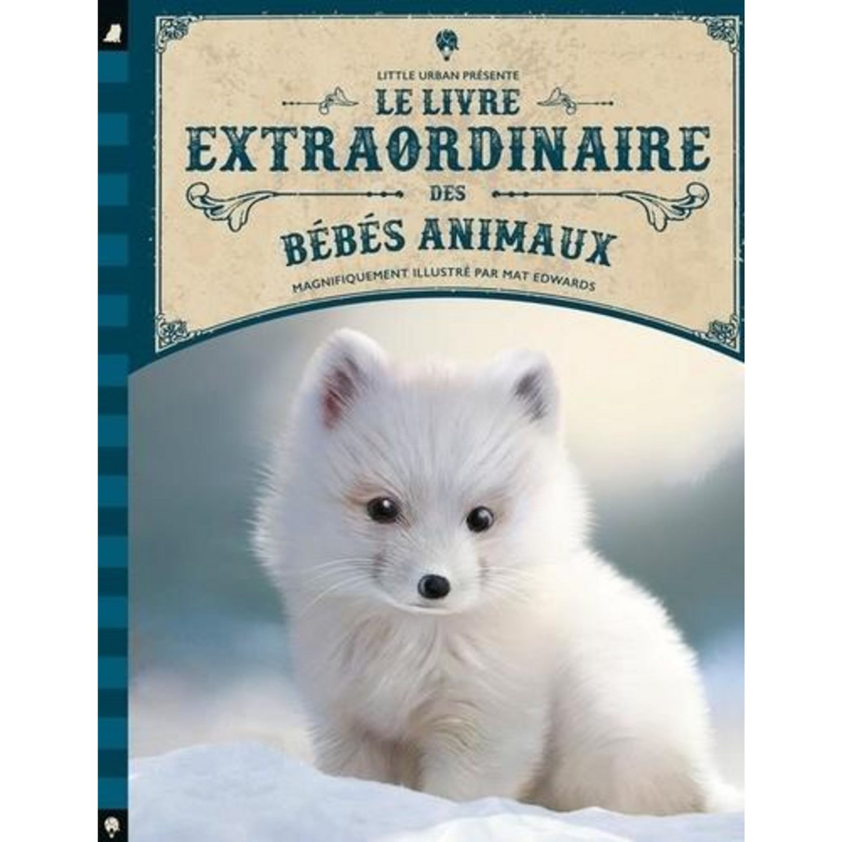 LE LIVRE EXTRAORDINAIRE DES BEBES ANIMAUX, Taylor Barbara
