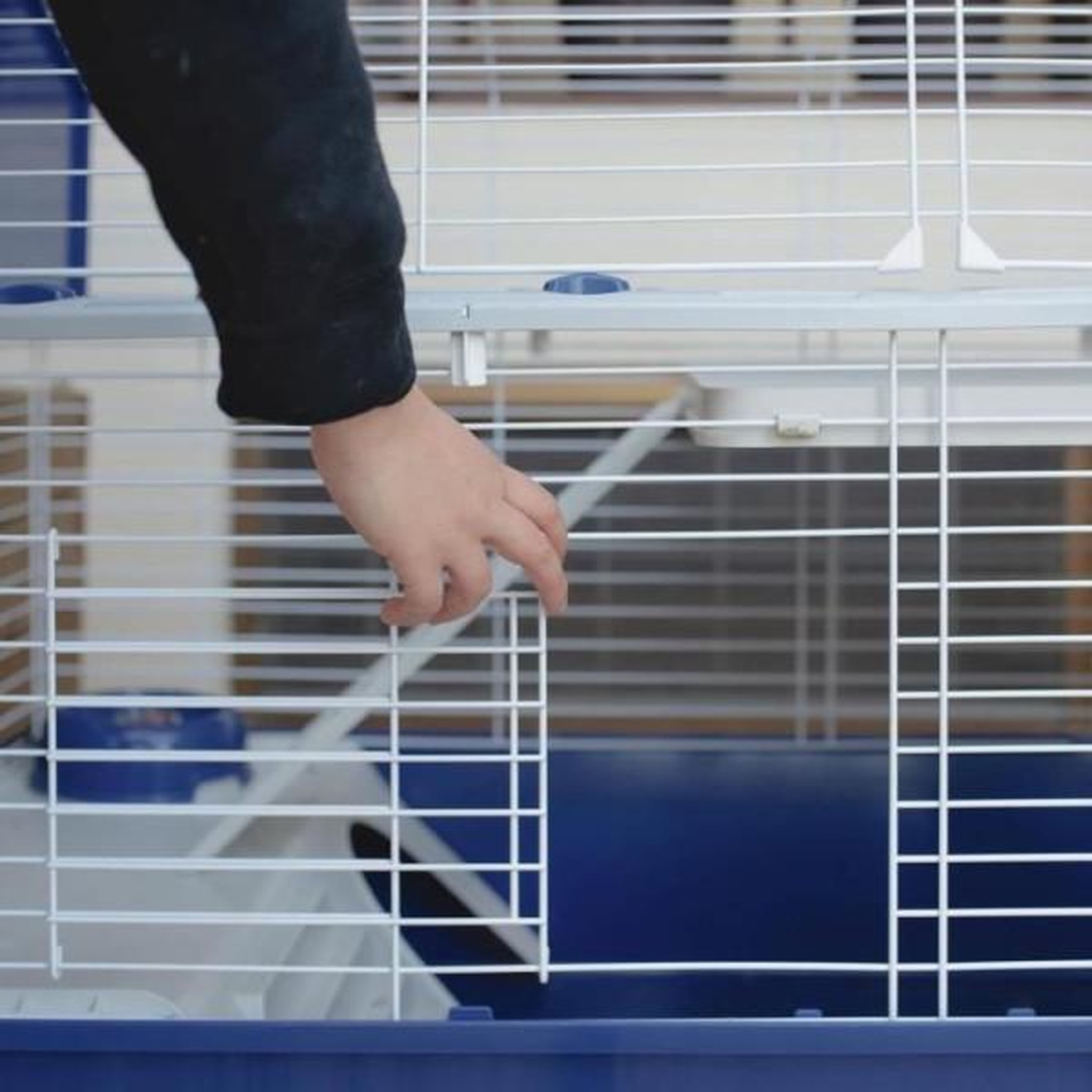 Voir la diapositive 5 : Ferplast Cage pour lapins avec accessoires 78* 48*65 cm - FERPLAST