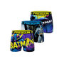 Voir la diapositive 1 : FREEGUN Lot de 3 boxers homme DC Comics