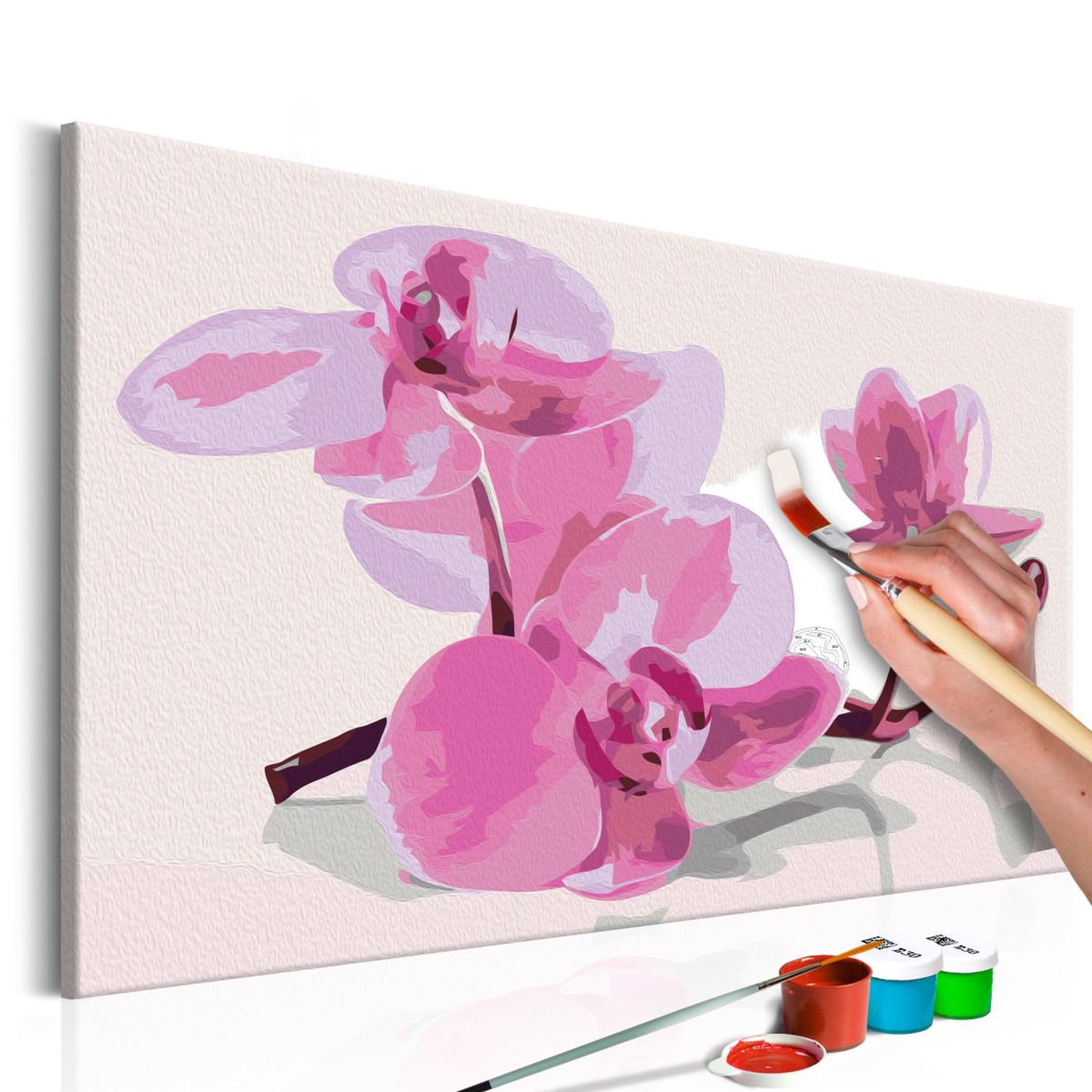 Voir la diapositive 1 : Paris Prix Tableau à peindre soi-même  fleurs d'orchidée  40x60cm