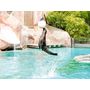 Voir la diapositive 3 : Smartbox Journée au Parc Zoologique d'Amnéville en famille - Coffret Cadeau Sport & Aventure