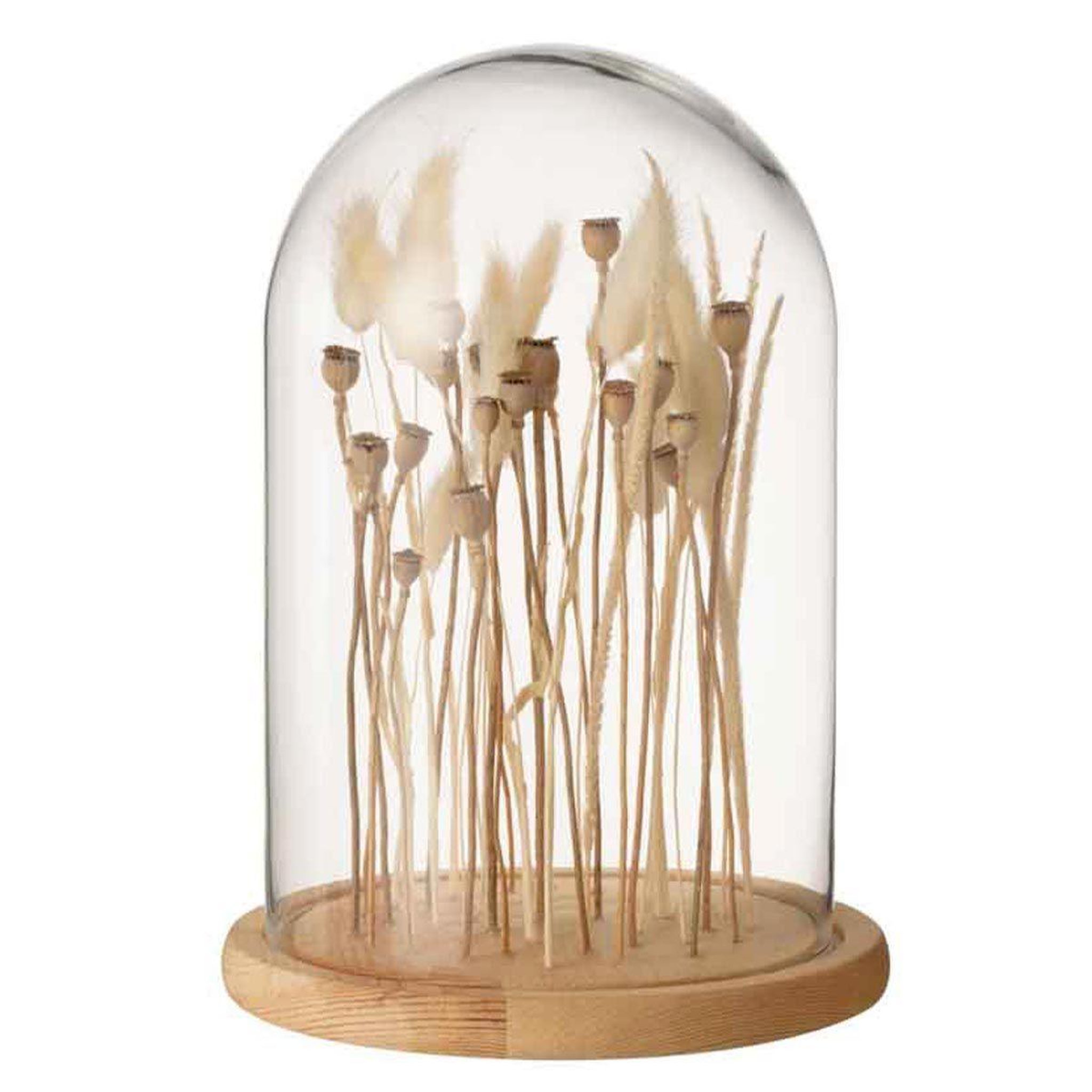 Voir la diapositive 1 : J-LINE Cloche en verre déco  fleurs séchées  26cm écru