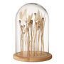 Voir la diapositive 1 : Paris Prix Cloche en Verre Déco  Fleurs Séchées  26cm Écru