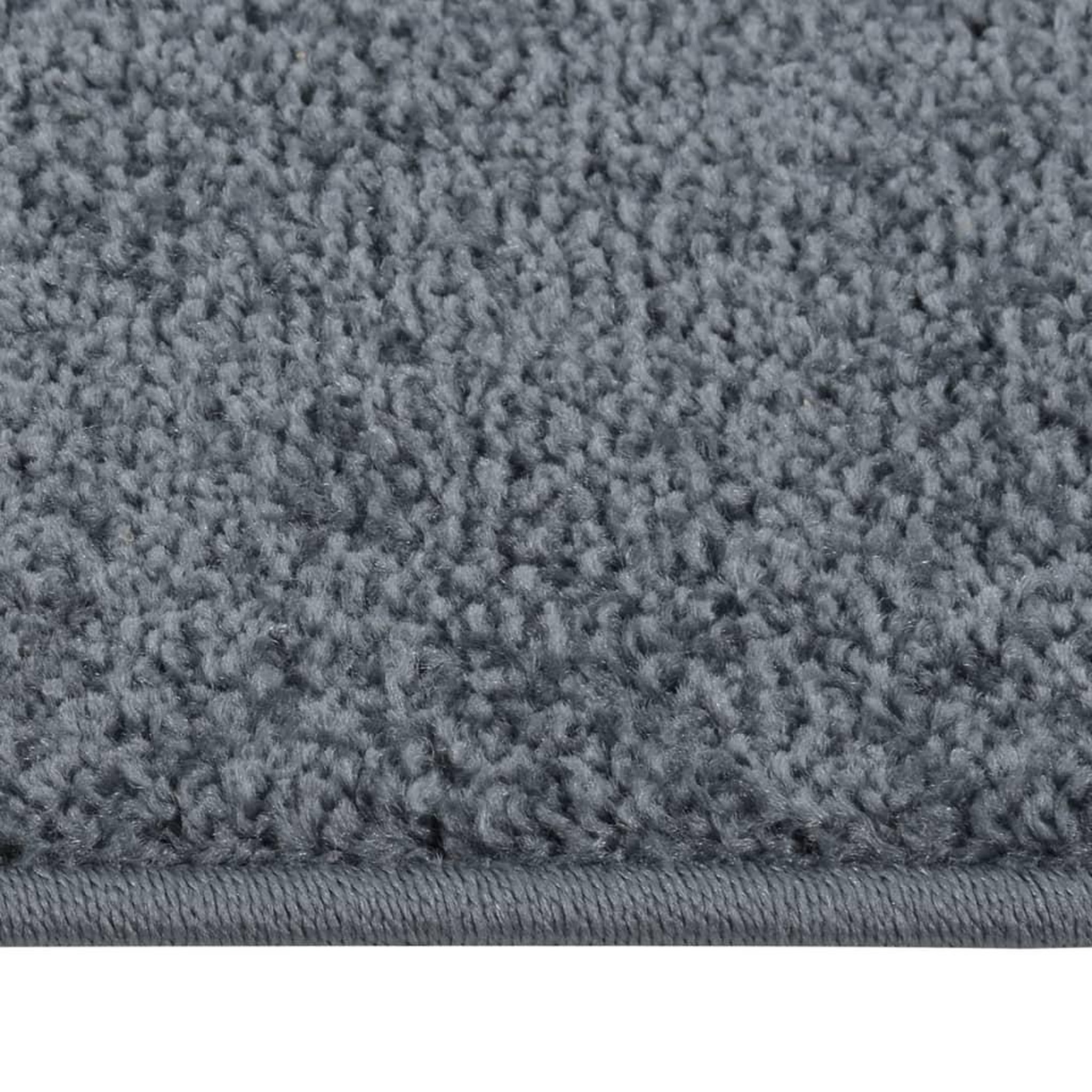 Voir la diapositive 3 : VIDAXL Tapis a poils courts 160x230 cm Anthracite