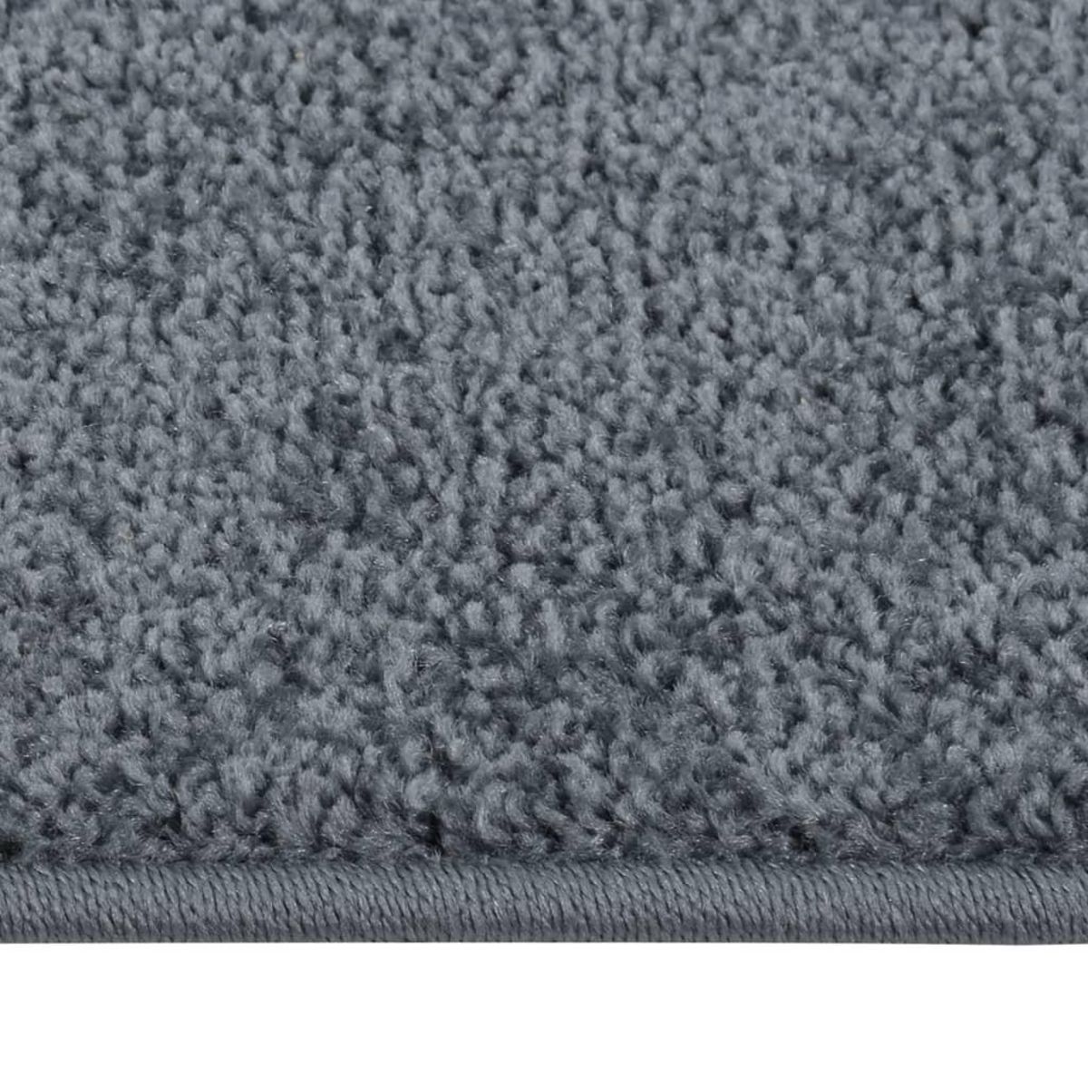 VIDAXL Tapis a poils courts 160x230 cm Anthracite