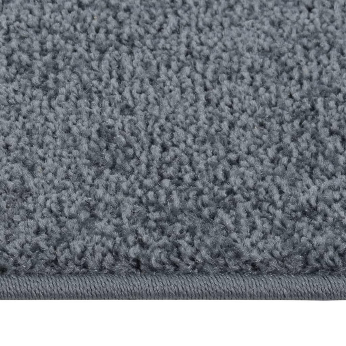 VIDAXL Tapis a poils courts 160x230 cm Anthracite