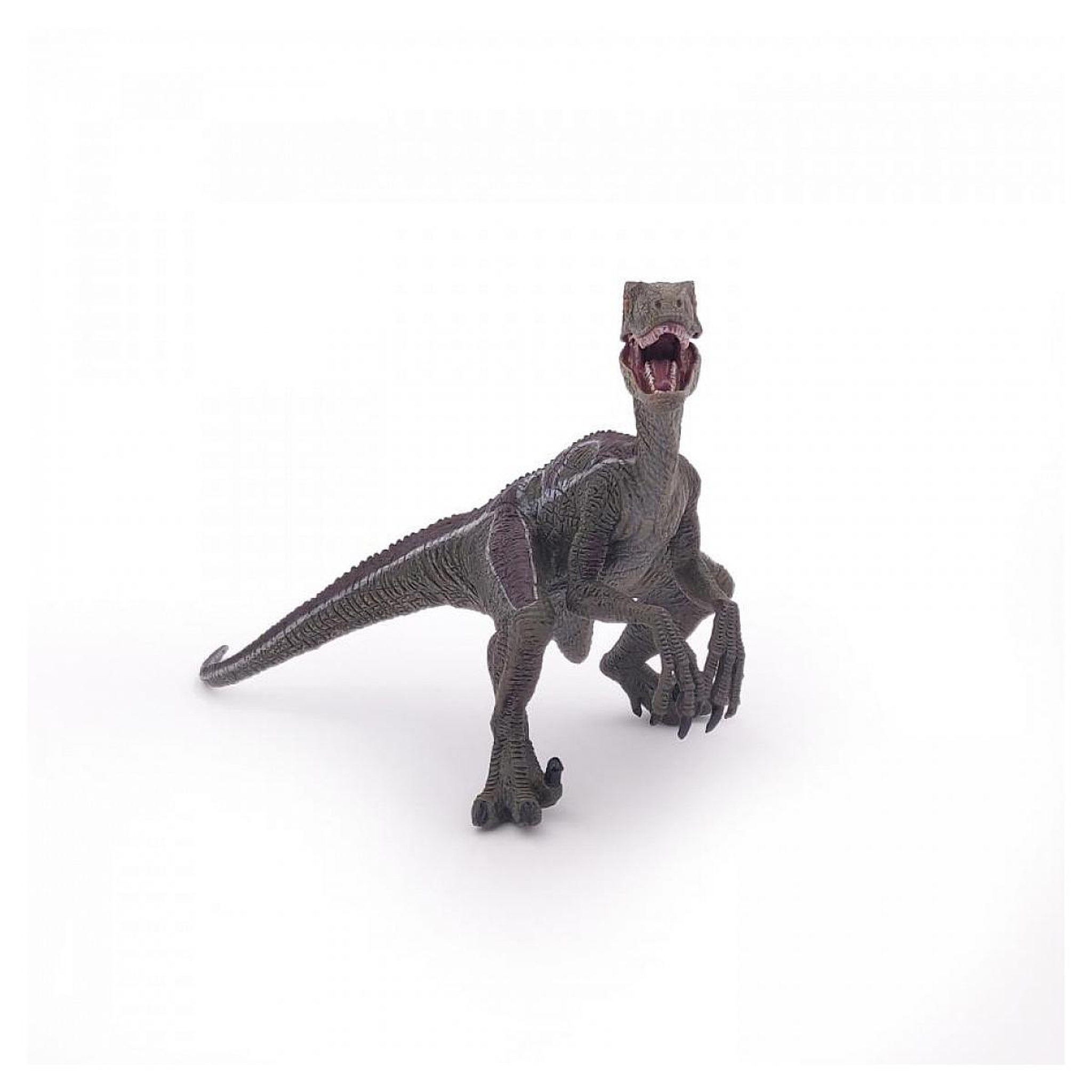 Voir la diapositive 2 : Papo 55023 Vélociraptor dinosaure