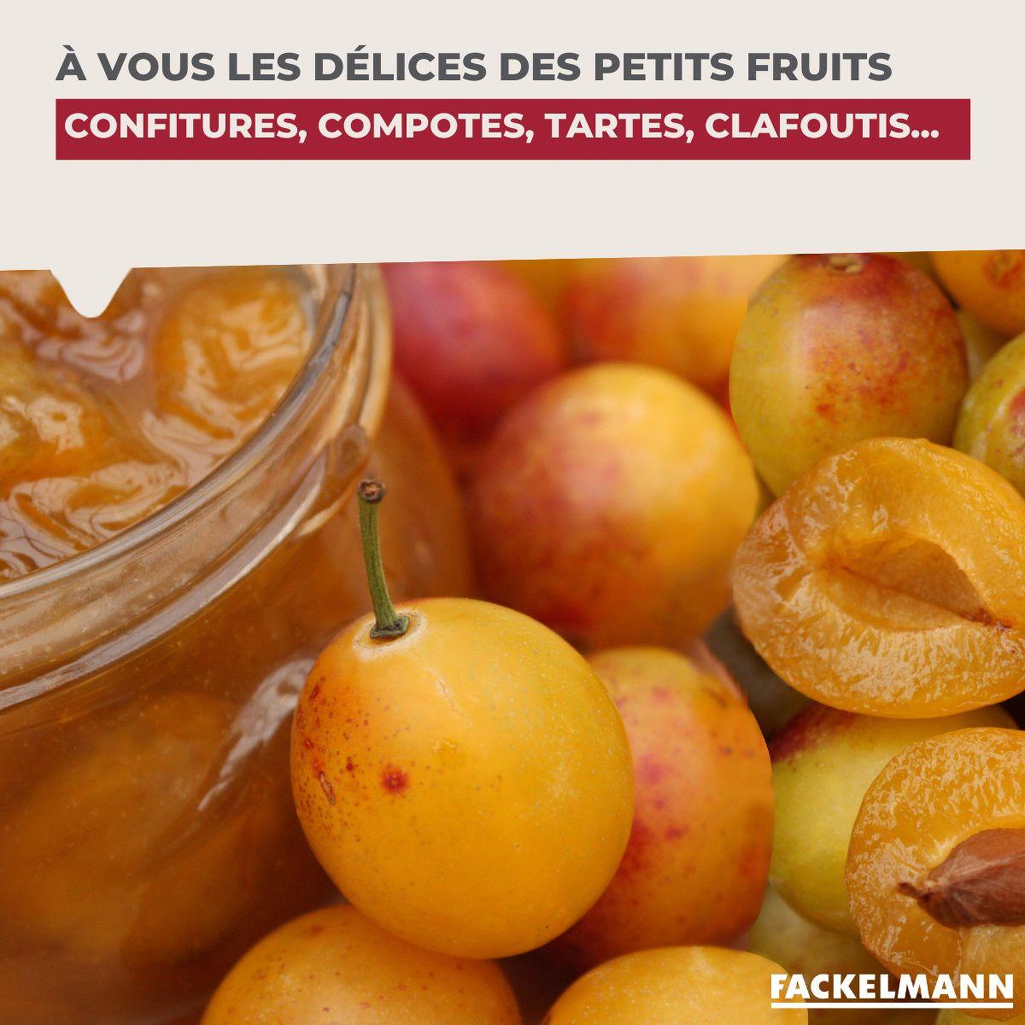 Voir la diapositive 6 : Fackelmann Dénoyauteur de prunes Fackelmann Arcadalina