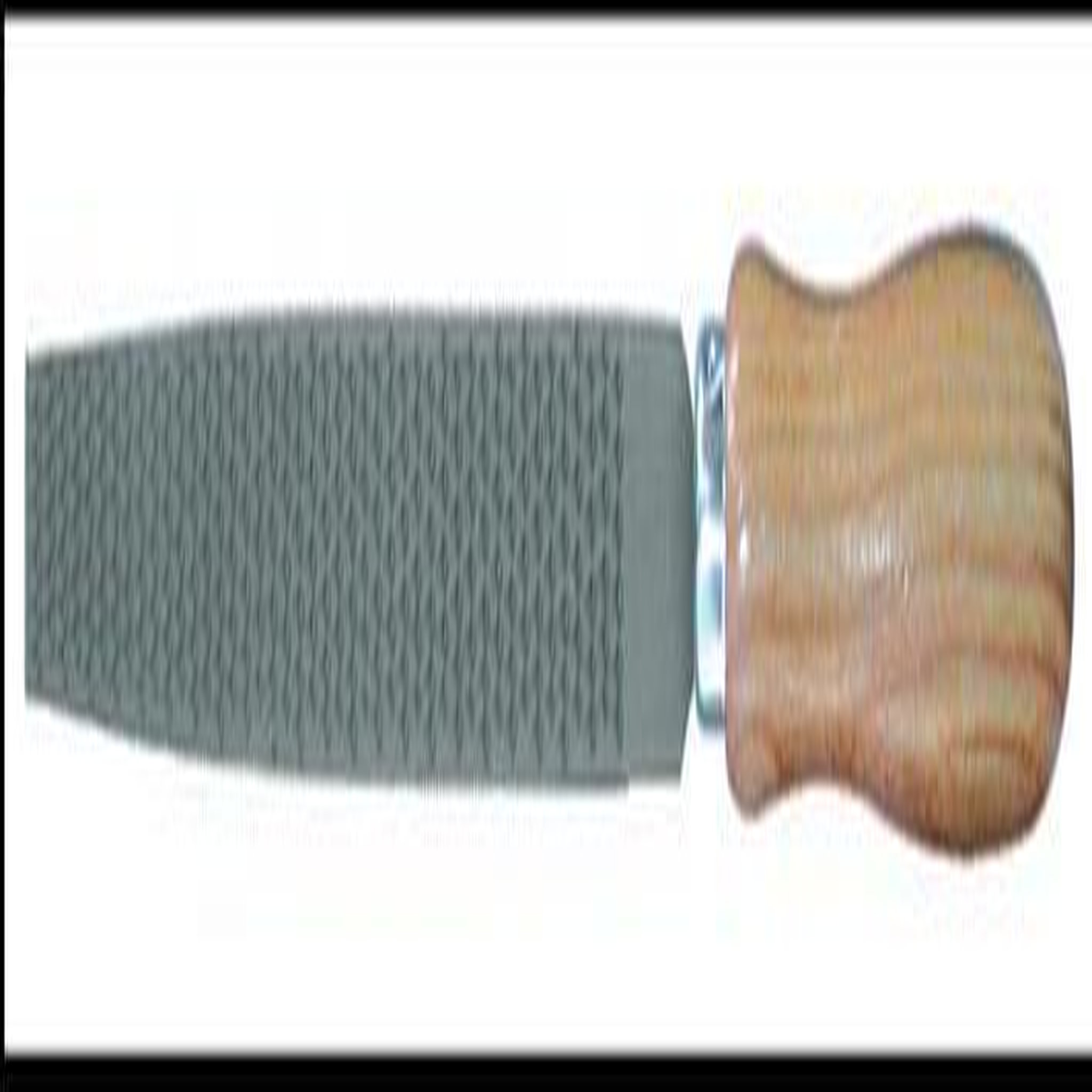 OUTIFRANCE Râpe à bois plate manche bois 200 mm